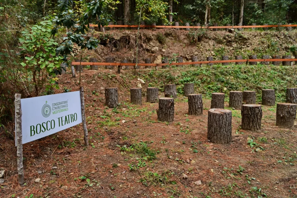 Il Conservatorio Etnobotanico Di Sersale Patrimonio Di Piante