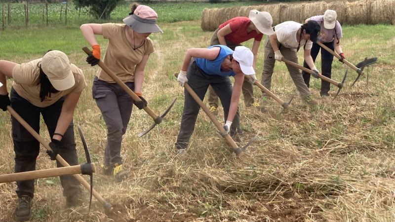 Laino Borgo, prosegue la campagna di scavi archeologici: nuova luce sulla storia calabrese