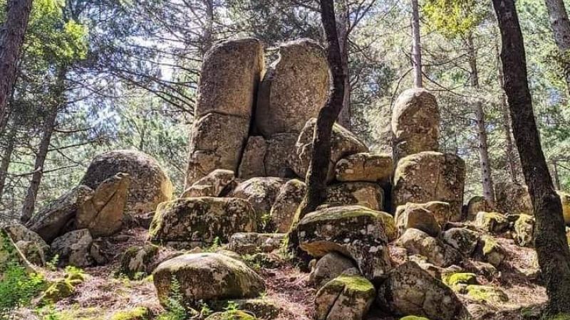 Parco delle Serre e Unical per valorizzare i megaliti di Nardodipace