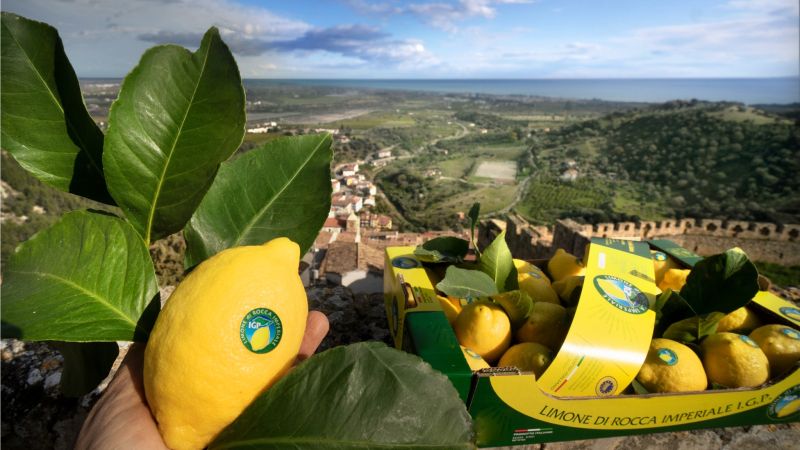 A Rocca Imperiale, una giornata studio dedicata al limone IGP