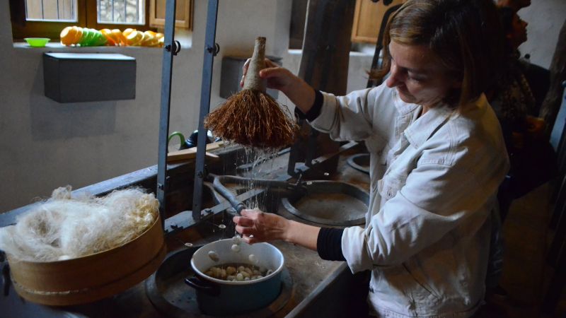 Mendicino, torna la Festa della seta