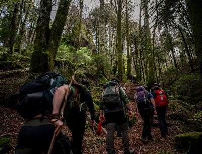 Montagna escursioni Guide Parco Calabria 1 3ff7fda9 - Home - 36 Guide Parco Calabria, oggi a Gambarie il quinto incontro annuale