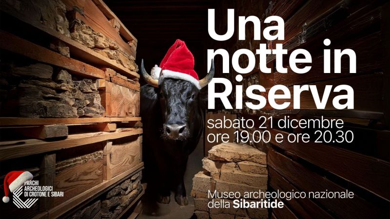 Feste di Natale, Musei e Parchi archeologici aperti tra storia e gioco