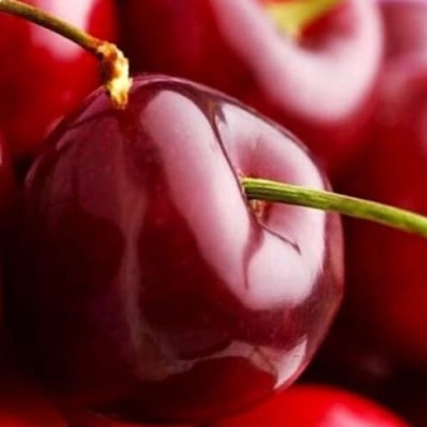 Le ciliegie di Roseto sono ‘le più belle d’Italia’