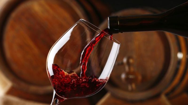 Magliocco Day 2024: l’evento tra vino, gastronomia e sostenibilità