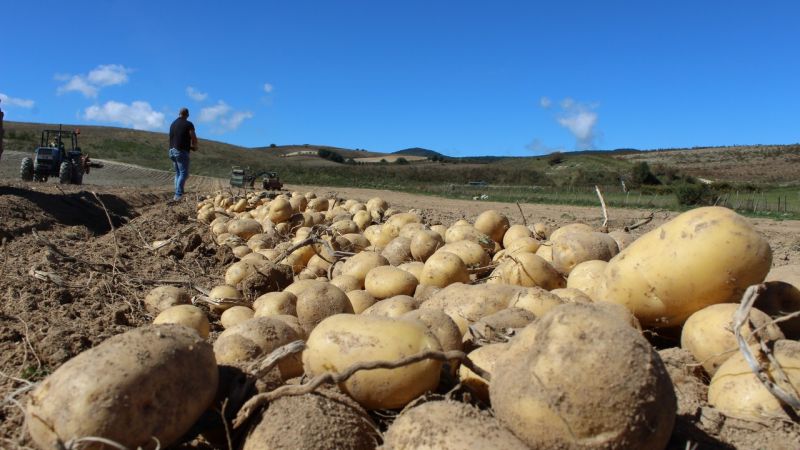 La Patata della Sila in Camper su rai 1