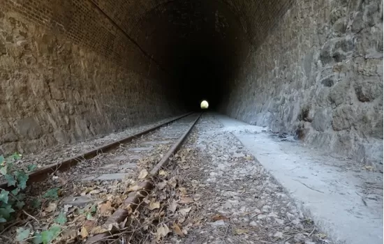 Via degli ulivi 1 6e2dc677 - Meraviglie di Calabria - 43