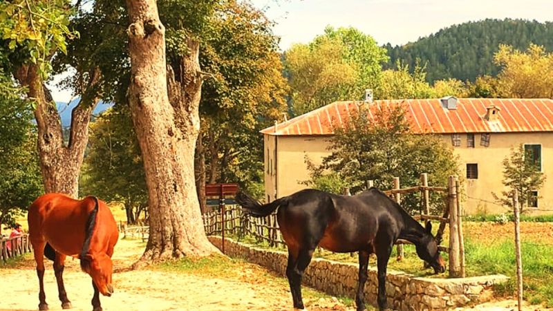 Casino Mollo in Sila, FAI e Regione Calabria ne avviano il restauro