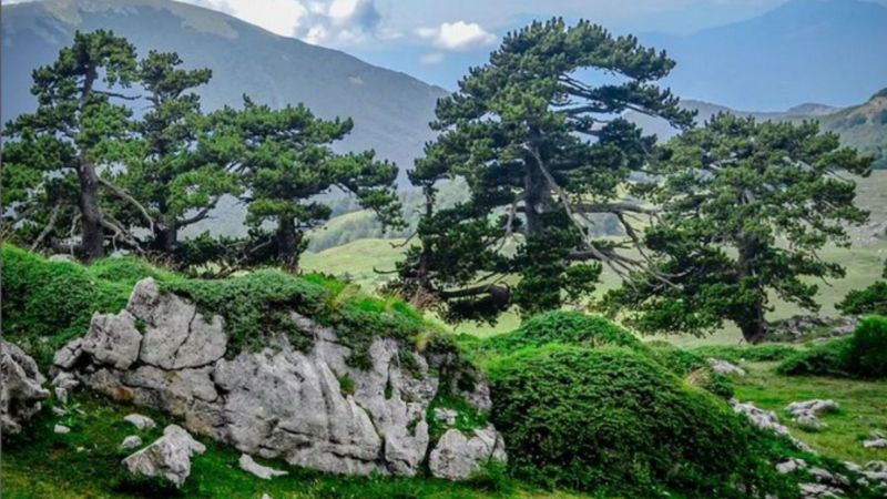 Sentieri e sapori: il Parco Nazionale del Pollino, dove la natura incontra la tavola