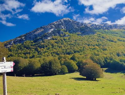 parco nazionale pollino 7f06ecd5 - Home - 33 Calabria in primavera, borghi natura e archeologia da scoprire
