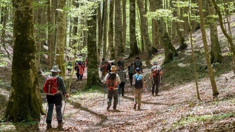 “Via dei Sediari”, il nuovo sentiero alla scoperta delle radici di Serrastretta