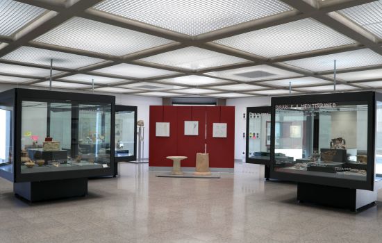 Museo della Sibaritide sala sugli scavi di sibari 01 scaled e1710846739261 89d337c2 - Meraviglie di Calabria - 1