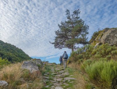 cammino 961e47b7 - Home - 33 I cammini di San Giacomo e del Normanno riconosciuti dalla Regione