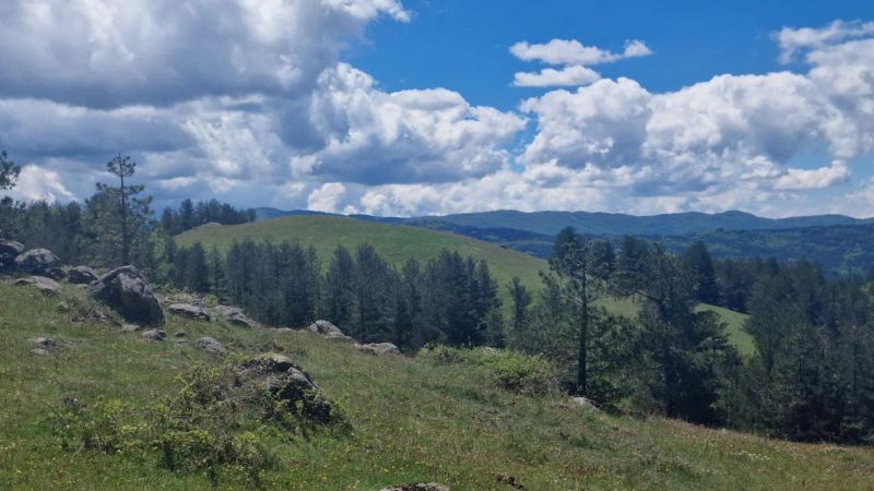 Alla scoperta di Casali del Manco: escursione nel Parco Nazionale della Sila [FOTO]