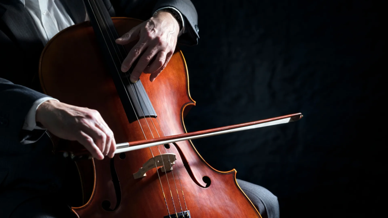 Il violoncello di Manuel Pecora suona per il gran finale di “Sguardi a Sud”