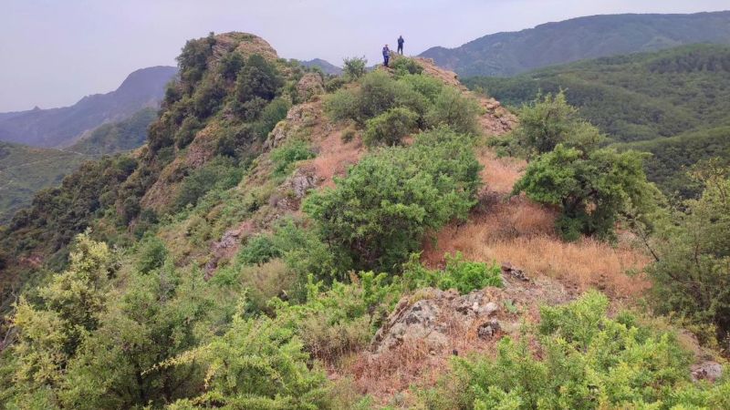 Sulle tracce dell’antica Roma: scoperto in Aspromonte il muro di Spartaco