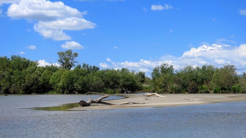 Nella Riserva naturale di Sibari, il centro visite e la sezione del Museo del Mare