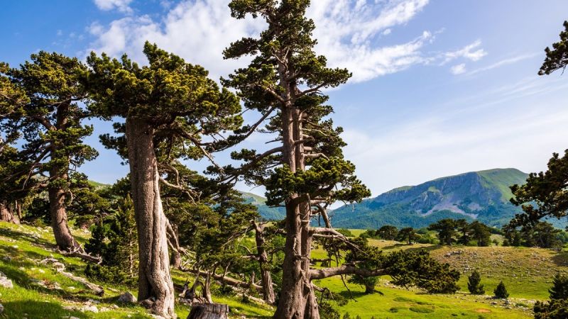 Geoparco Unesco, il ritorno degli ispettori nel Parco del Pollino