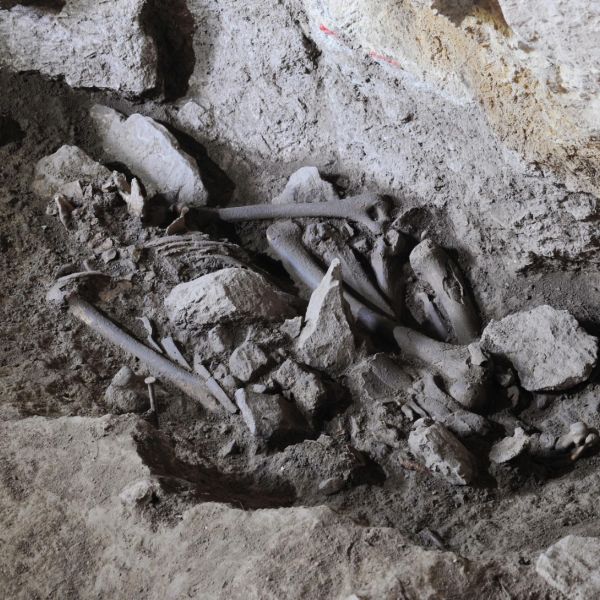 Gli scavi di San Lorenzo Bellizzi: si riscrive la storia della Calabria