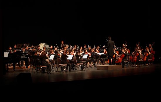 orchestra c7761edb - Meraviglie di Calabria - 19