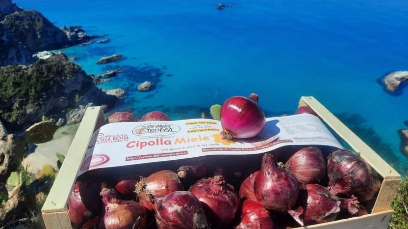 Sua maestà la Cipolla Rossa di Tropea, una tre giorni per celebrarla