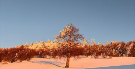 Pollino neve pino loricato giardino degli dei 11 cf19ee25 - Meraviglie di Calabria - 23