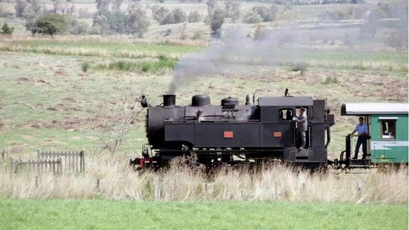 La storica locomotiva 353 tornerà sui binari in Sila