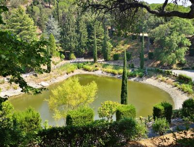 pineta siano e77bf108 - Home - 37 Catanzaro, entro l’estate la riapertura della Pineta di Siano