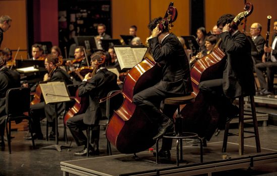 Orchestra generico e9342815 - Meraviglie di Calabria - 1