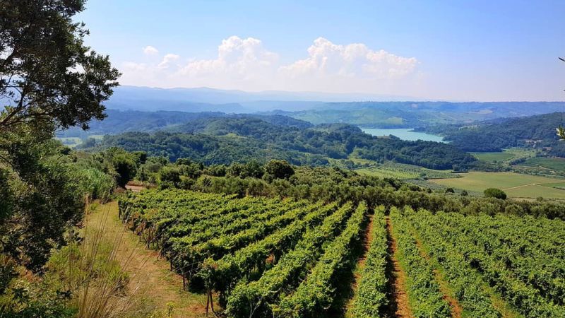 Doc Costa degli Dei, a Verona la presentazione dei vini del Vibonese