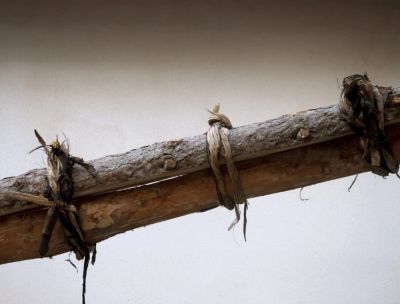 WhatsApp Image 2023 04 11 at 09.22.16 f433f497 - Home - 36 Gli alberi, tra fede, mito e leggenda