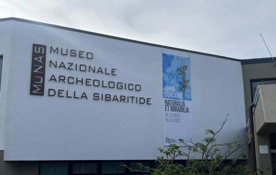museoarcheologicosibari f7b564b9 - Meraviglie di Calabria - 3