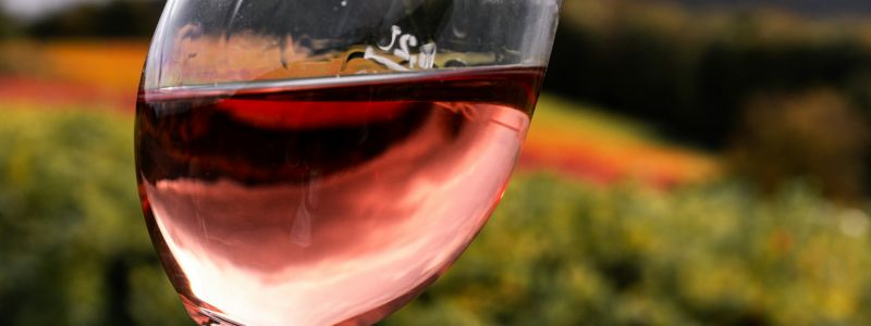 vino rose f7c00bd7 - Home - 34 Il Concours Mondial de Bruxelles torna in Calabria, ora tocca ai rosati