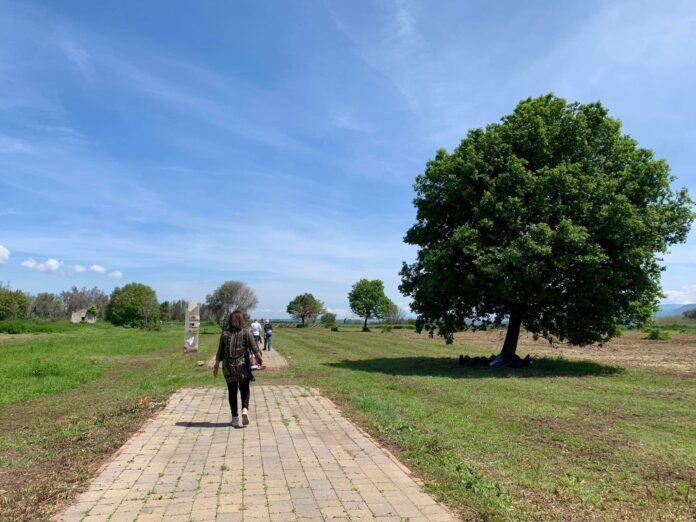 parco medma - Meraviglie di Calabria - 4