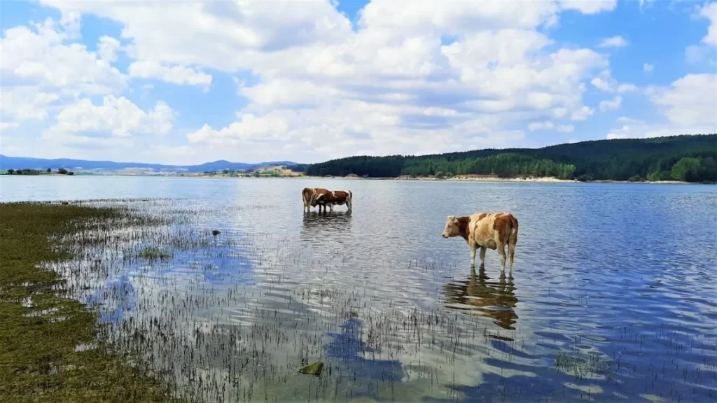 Lago cecita 1 - Meraviglie di Calabria - 4