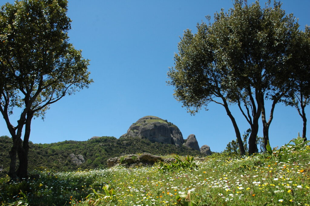 PARCO NAZIONALE DELLASPROMONTE - Meraviglie di Calabria - 4