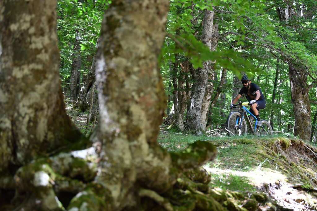 marathon aragonesi pollinobikefestival 2 - Meraviglie di Calabria - 2