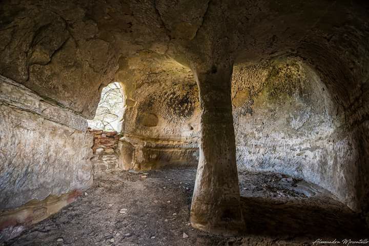 albero della vita cosa vedere a brancaleone - Meraviglie di Calabria - 14