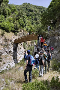 sentuicsf - Meraviglie di Calabria - 18