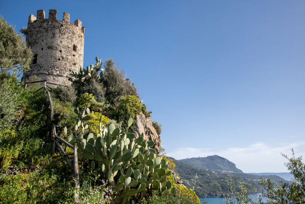 Parco arch Tauriani FedericoNeri7301 - Meraviglie di Calabria - 2