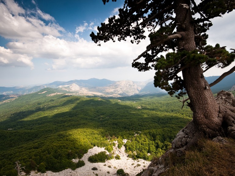 viaggio nel pollino 1 - Meraviglie di Calabria - 2