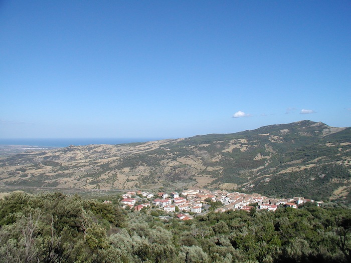 canna boscocomaroson - Meraviglie di Calabria - 4