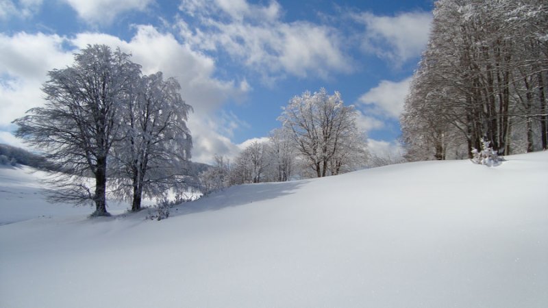neve in sila 1 - Meraviglie di Calabria - 12