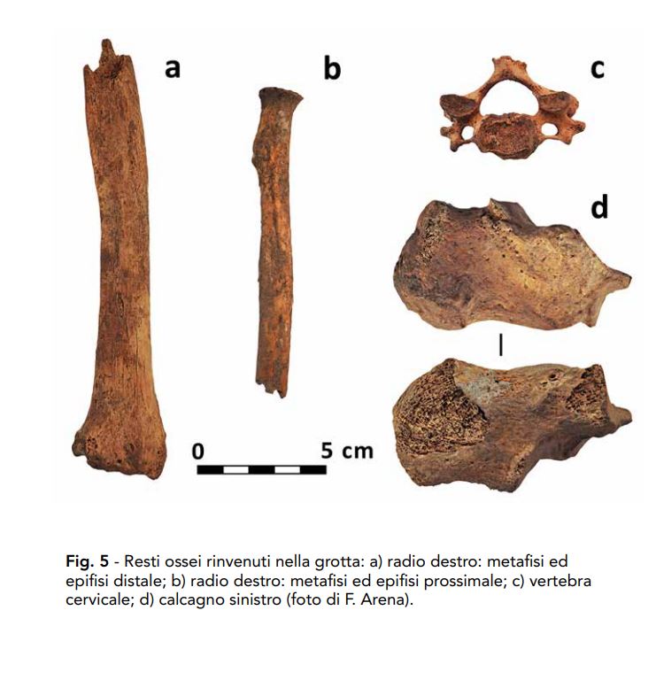 resta ossee - Meraviglie di Calabria - 6