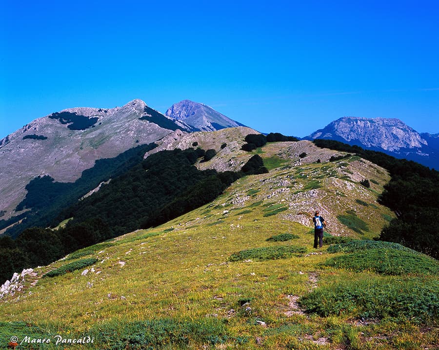 Trekking Timpa del Principe - Meraviglie di Calabria - 14