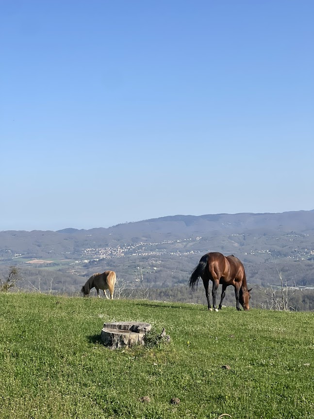 3 - Meraviglie di Calabria - 10