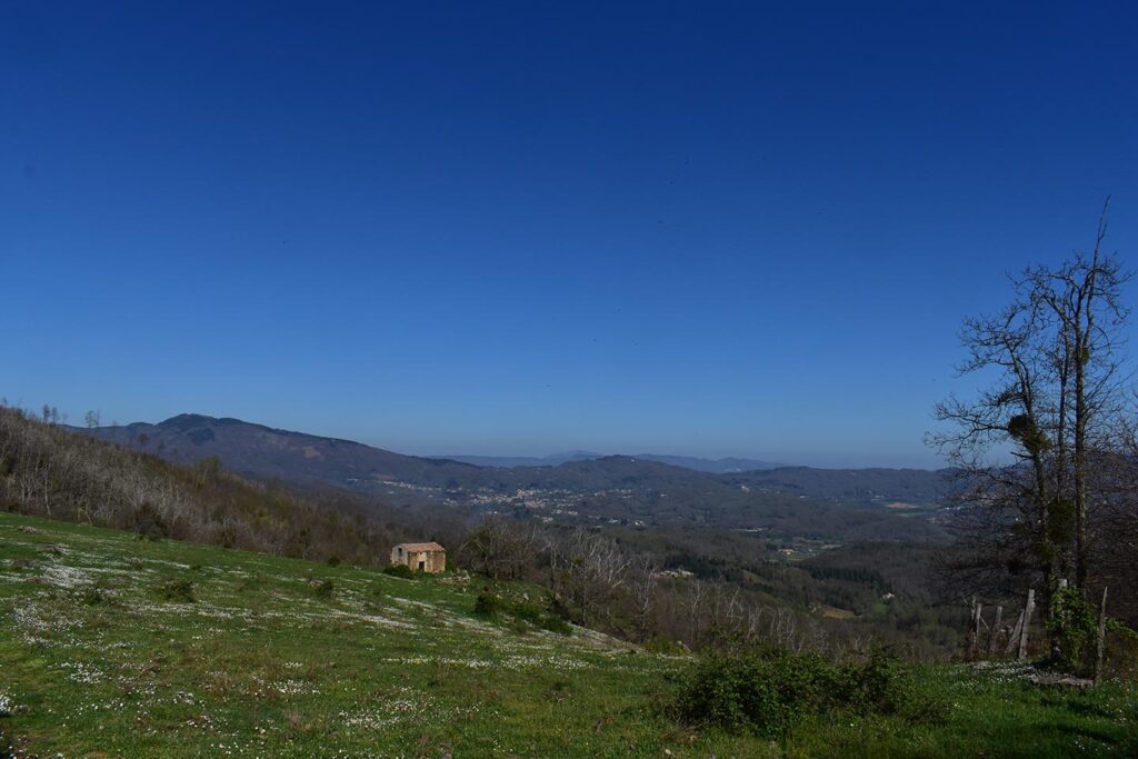 DSC 0095 copia - Meraviglie di Calabria - 24