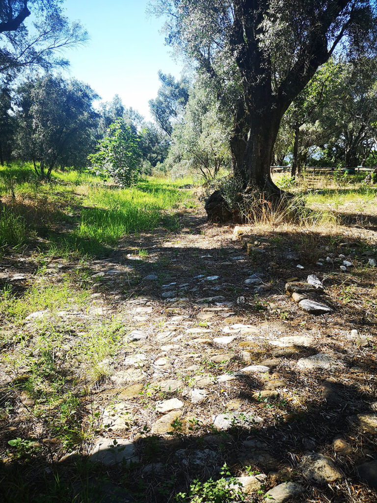 Galleria4 Parco Archeologico Mella - Meraviglie di Calabria - 6