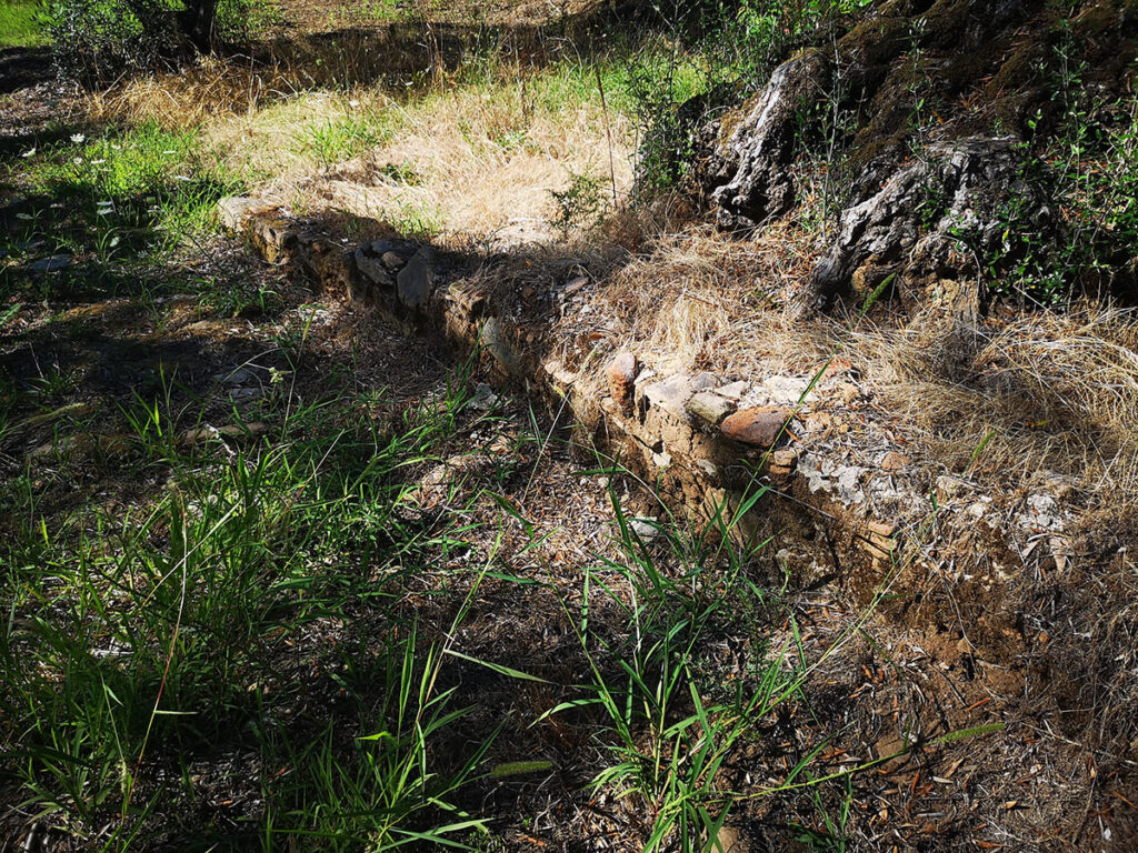 Galleria5 Parco Archeologico Mella - Meraviglie di Calabria - 10