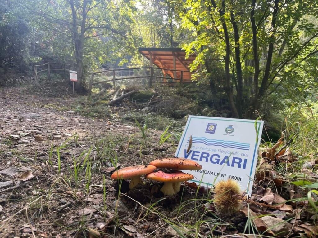 Riserva naturale del Vergari Cartellonistica US Riserva del Vergari 22.10.2023 - Meraviglie di Calabria - 2